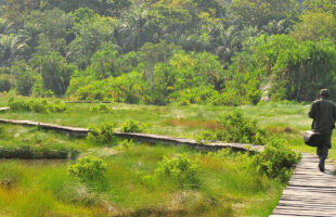 semiliki nature walk - Nature Walks in East Africa